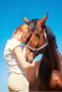 Horses and Rubber Mulch