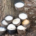 From Raw to Rubber: The Vulcanization Process